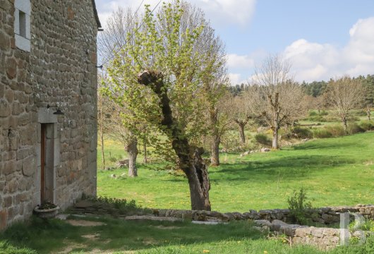 En Lozère, à l’entrée du plateau de l’Aubrac, une ancienne ferme et son pigeonnier  - photo  n°30